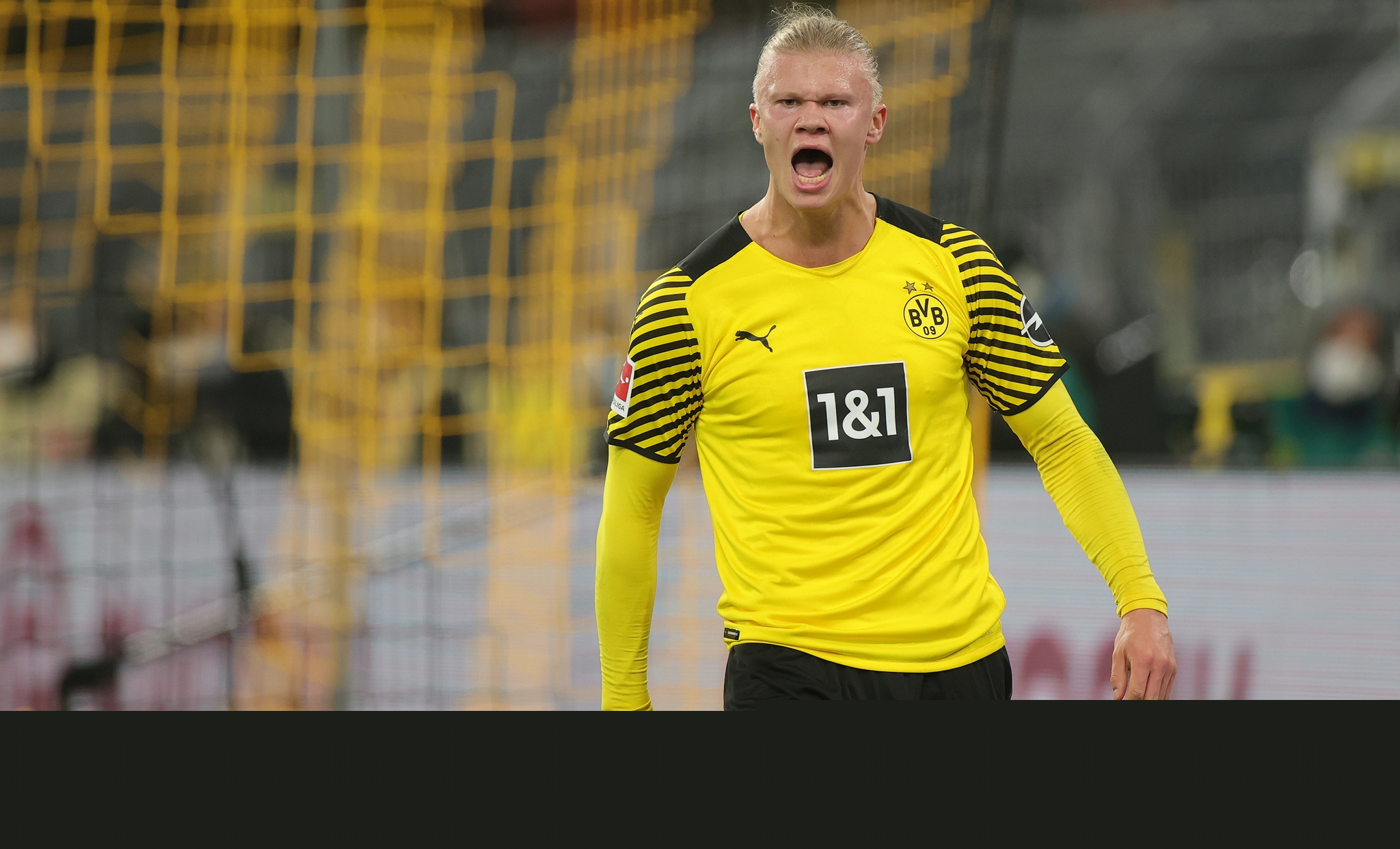 日处理80T动物油熬练生产线