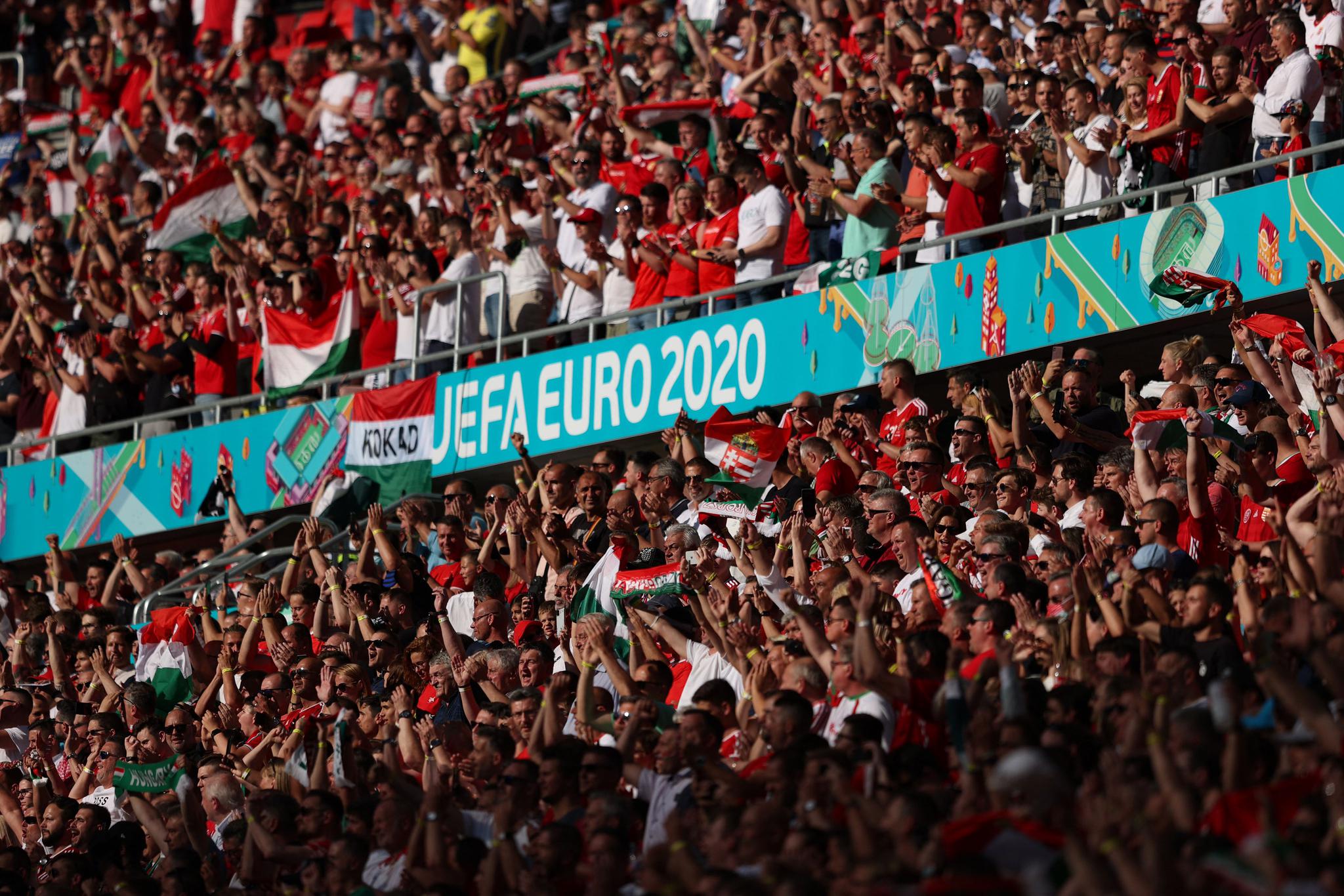 动物油精炼设备