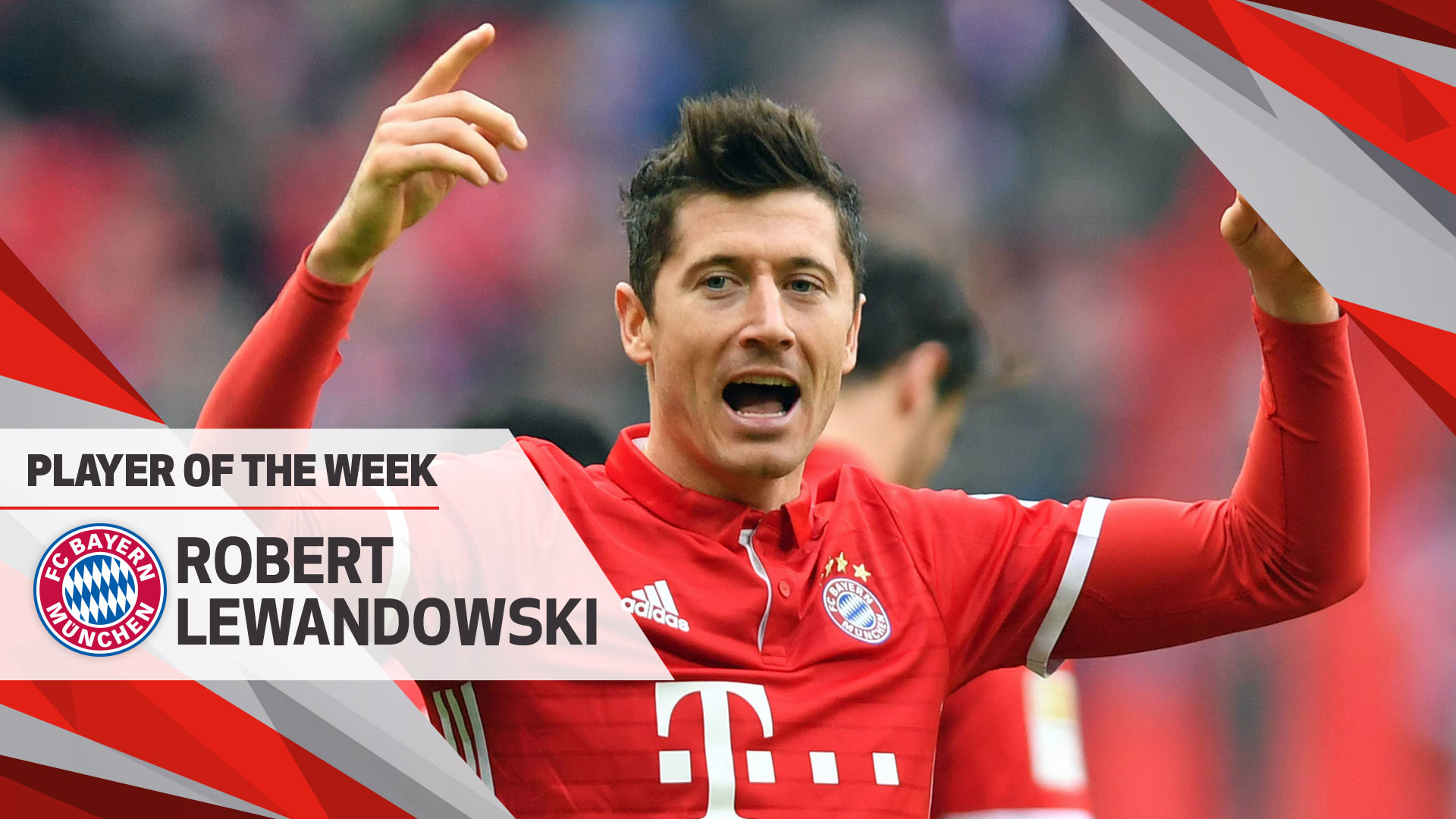 米糠油成套设备,油料油脂工程